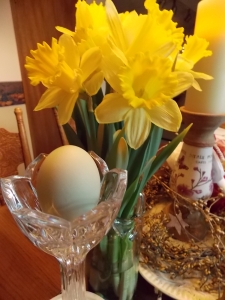 Daffodils and the Egg